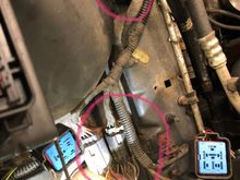 Are you talking about the connectors I have circled in red?