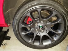 decided to paint calipers