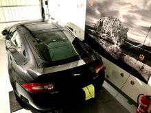 Cat slepping in the garage