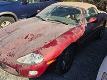 Untitled Album 2025-01-06 12:40:36