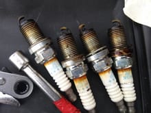 Spark plugs 1-4 with lots of oil burning showing