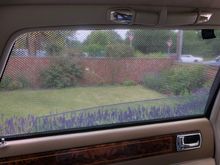 Looking out with window open