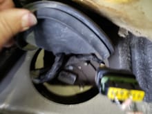 Lift grommet under right rear passenger seat for access to fuel talk electrical connector. 