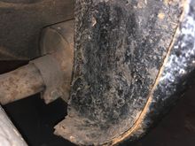 Does it look bad to you?