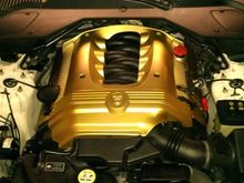 Gold covers for special occasions.