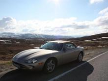 IMG 1464   Copy