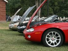 Jaguars at English Car
Owners gathering, Newburg IN 2008