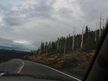 Trail Ridge Road, Rocky Mountain National Park, Colorado.