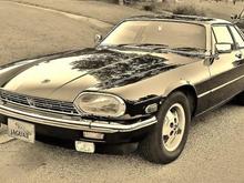 "modified Jag"