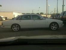 The day I picked her up from the wholesaler.