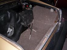 trunk pic 2