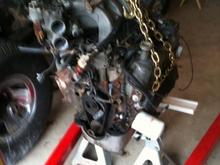 Picture 015