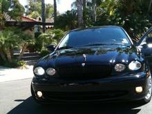 Yellow Fogs