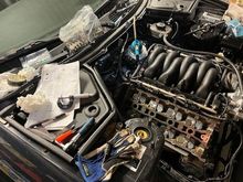 Measuring all tappet shim. (the little suction cup to pull the buckets out, speaker magnet to pull the shim off bucket)