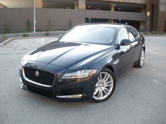 '16 Cobalt Blue XF Prestige