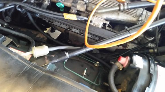 clear fuel looking filter just sitting there with nothing connected to one end.