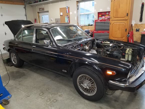 1983 Jaguar XJ6 with 2001 Camaro LS1 and 4L60E automatic. 