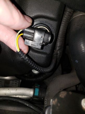 Remove plug by squeezing the tab at the bottom where my index finger is