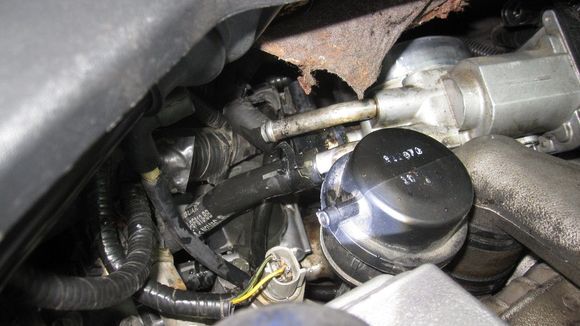 Coolant hose clamps are more accessible