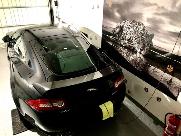 Cat slepping in the garage
