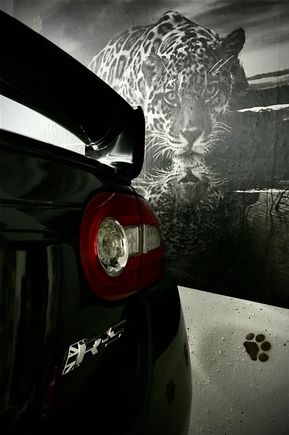 Jaguar Poster in the Garage
