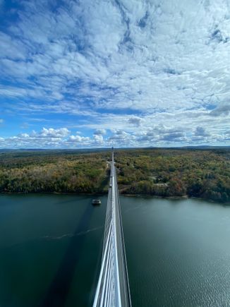 How beautiful is this? 