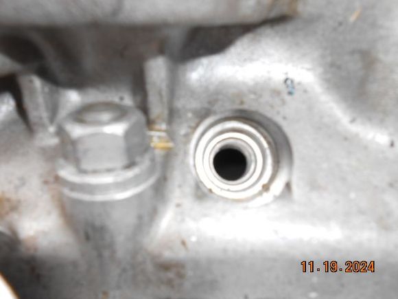 This one is the clearest picture I have