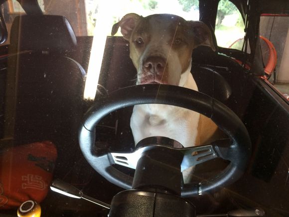 Co pilot