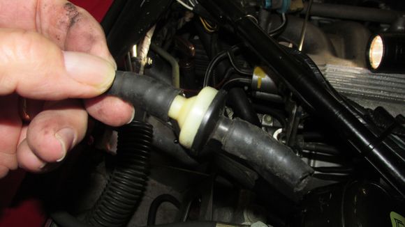 close up of the filter