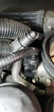 TPS on Throttle body