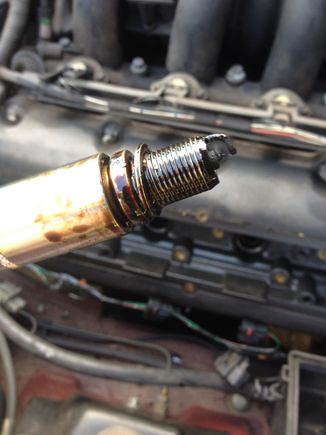 How does the oil get here