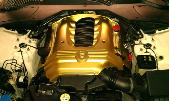 Gold covers for special occasions.
