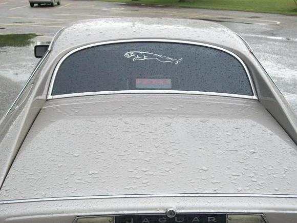 Tint and stickers