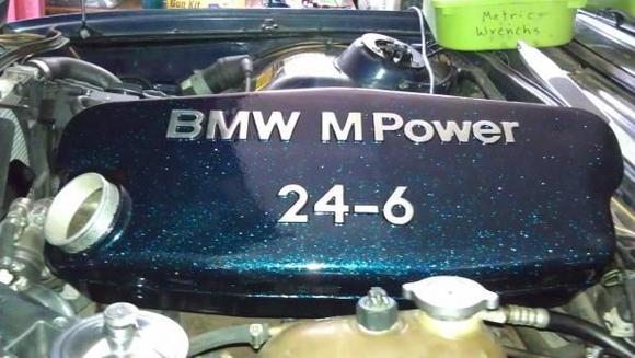 IMAG2780 View of Powder coated Plenum before installation. Plan on doing the valve cover as well.