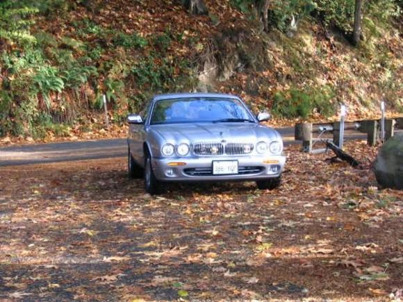 Fall on the Chucknut Drive ...WA state