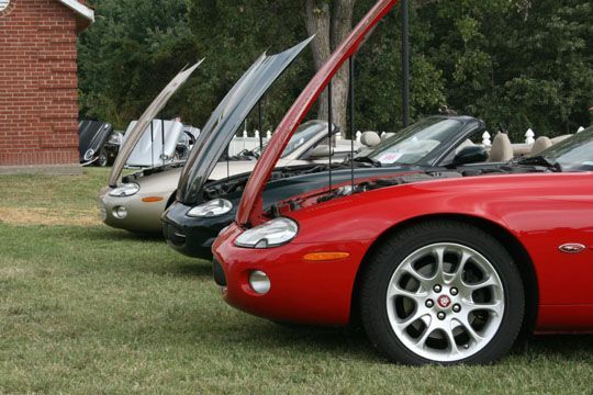 Jaguars at English Car
Owners gathering, Newburg IN 2008