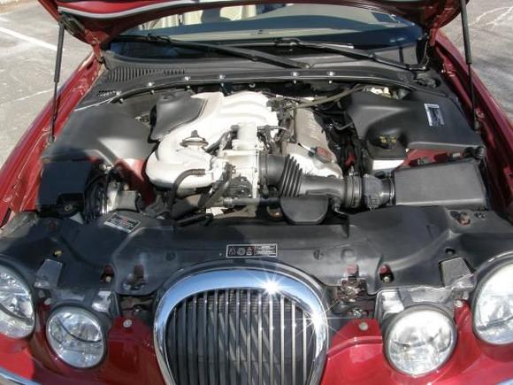 Squeaky clean engine!!