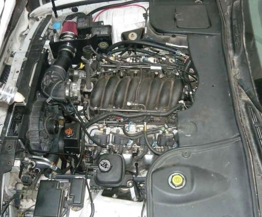 Engine compartment view- left side