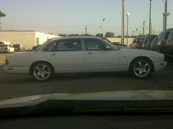 The day I picked her up from the wholesaler.