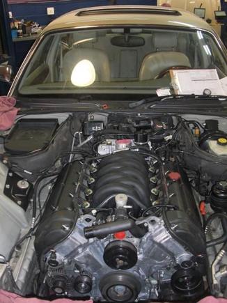 New engine in place!!!