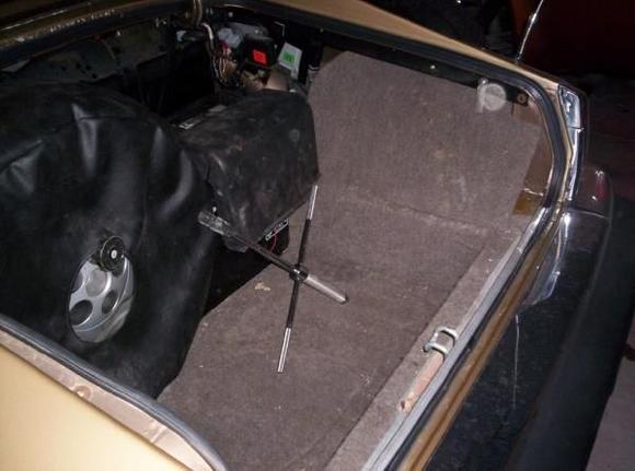 trunk pic 2