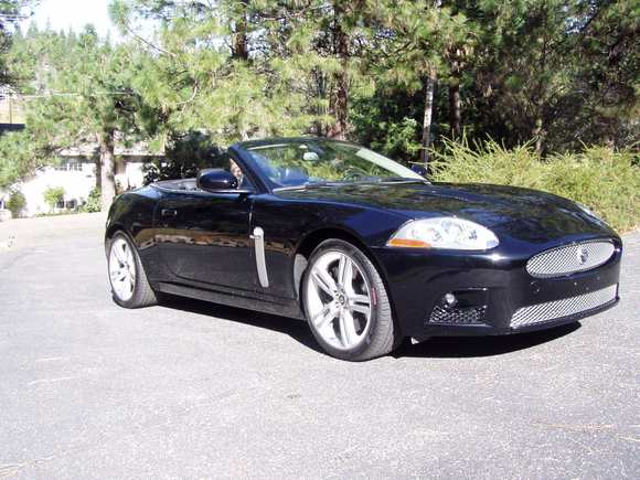 Jaguar 003