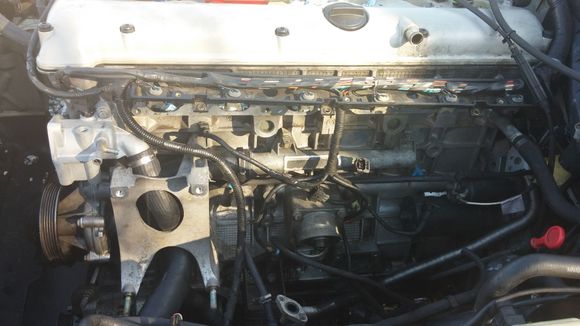 Octopus hose is now at least visable