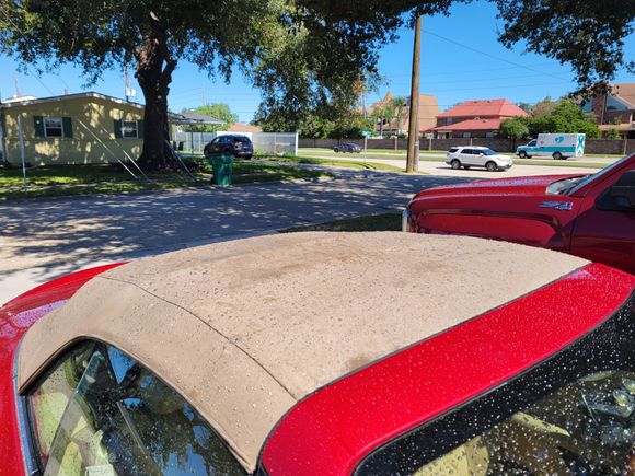 Intial 1 coat with Fabric Shield