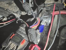 Two wire connector coming out of harness at top of image.  