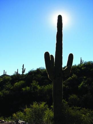 Arizona