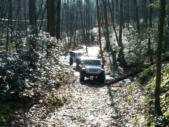 IMG00161 20111119 0922