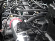 the new intake