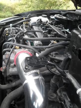 the new intake