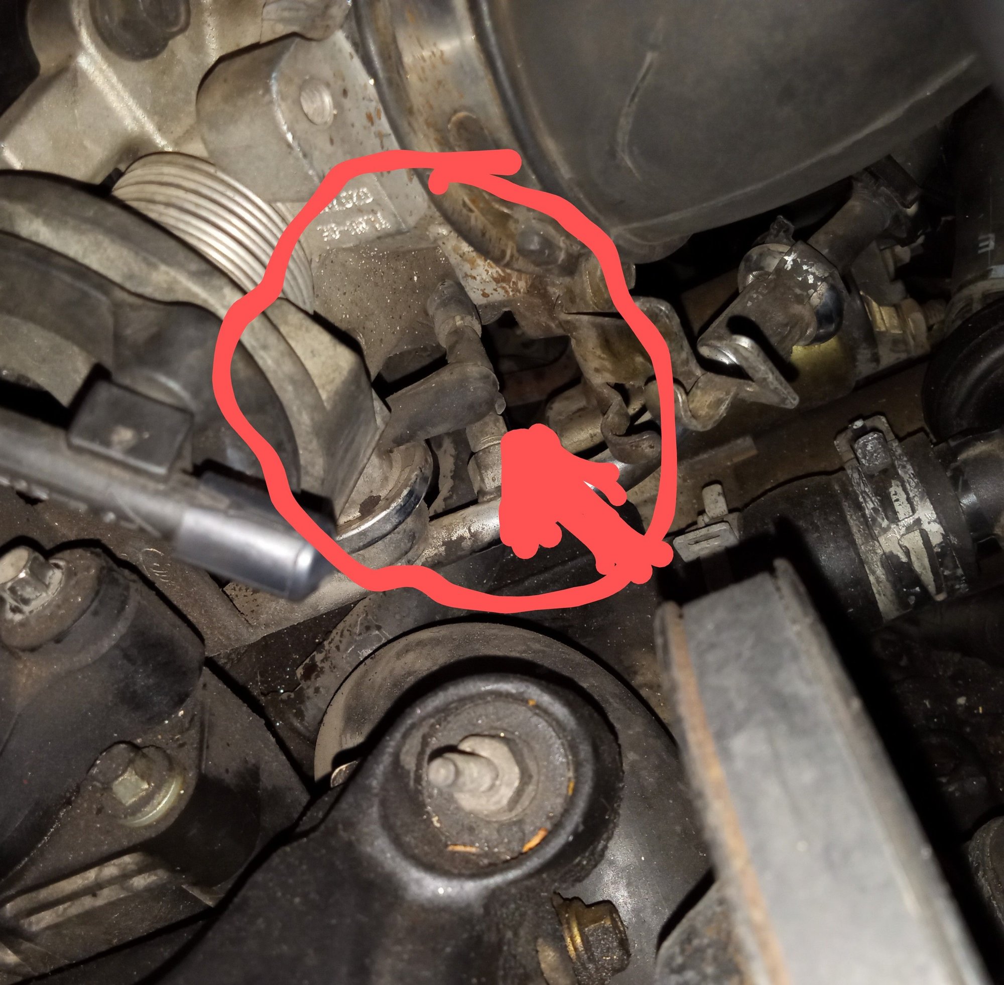 Where it attaches 